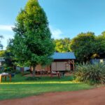 Tree in front of pergola at HapnHop Padstal